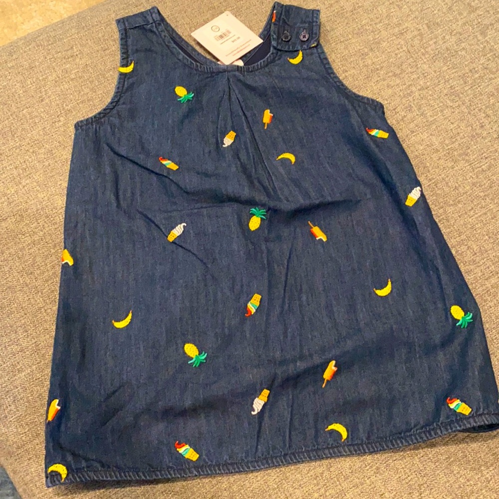 NWT 8T Hanna Andersson Embroidered shirt